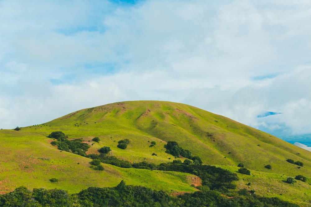 Waimea town